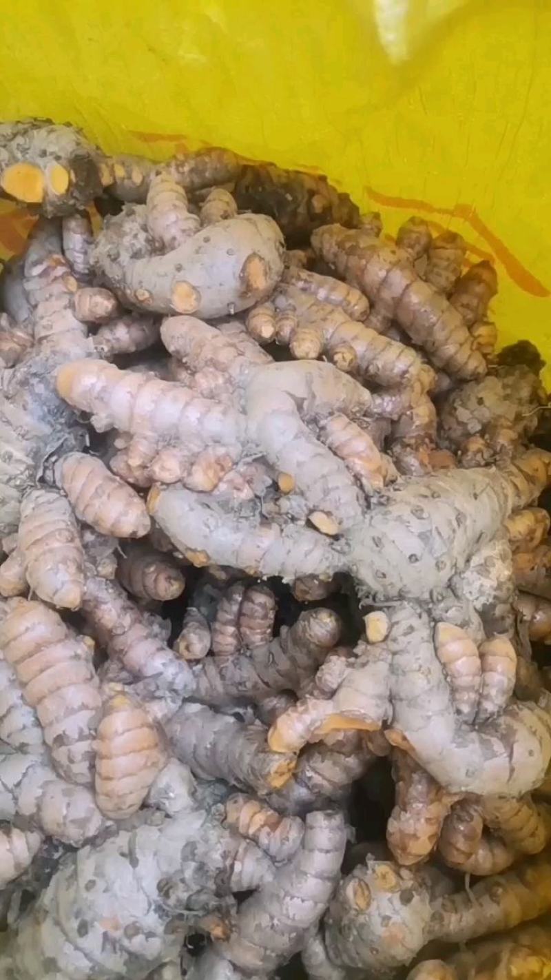 小黄姜产地一手货源