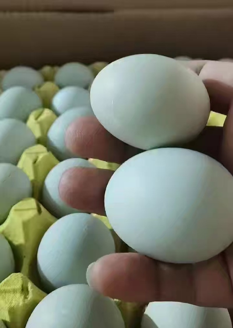 绿壳乌鸡蛋，粉壳土鸡蛋，有老板需要的打电话联系我