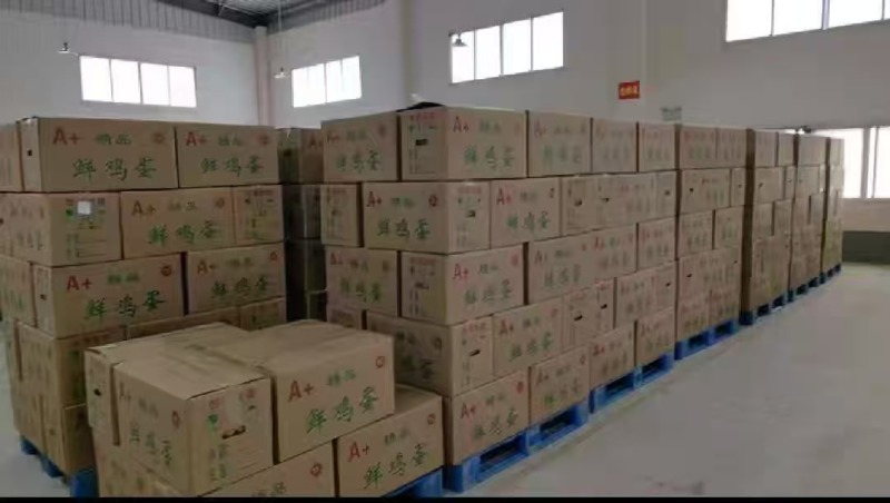 绿壳乌鸡蛋，粉壳土鸡蛋，有老板需要的打电话联系我
