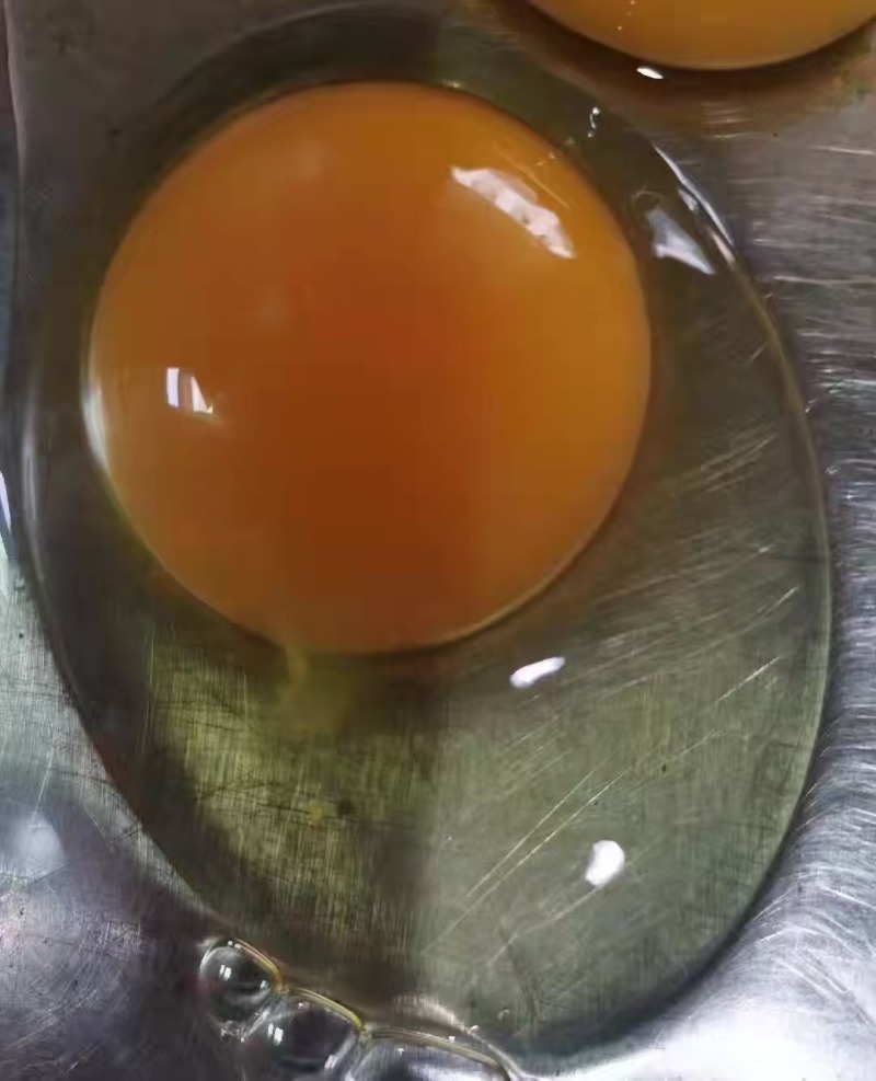 绿壳乌鸡蛋，粉壳土鸡蛋，有老板需要的打电话联系我