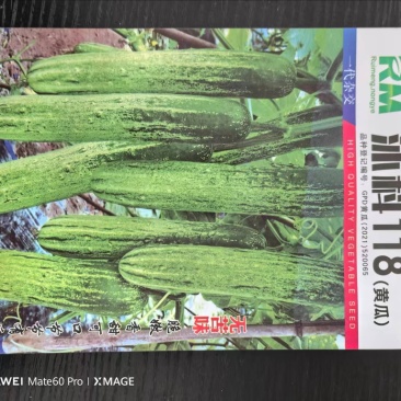 黄瓜种子沐科118号厂家直销价格优惠质量有保证规格齐全