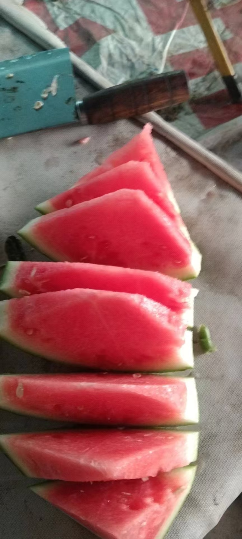 湖南麒麟美都无籽西瓜，全国发货，量大从优，可视频看货