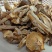 鹿茸菇大片碎菇电商货质量好价格低干净无土无沙无硫熏