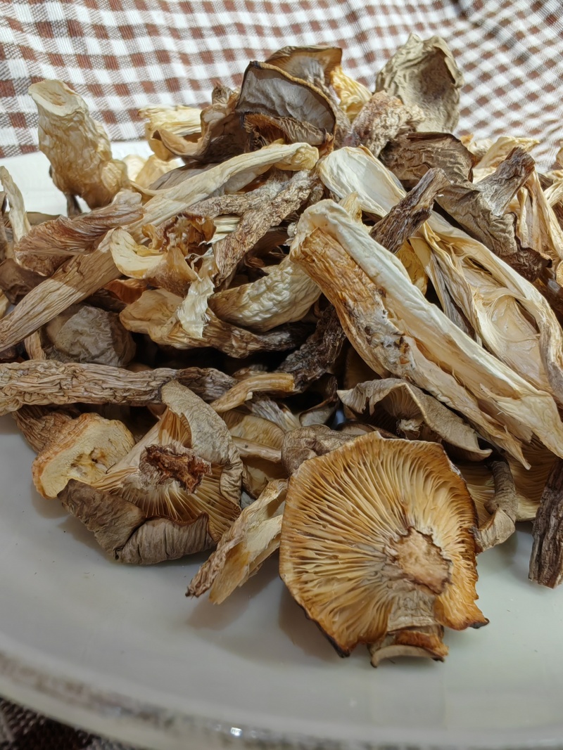 鹿茸菇大片碎菇电商货质量好价格低干净无土无沙无硫熏