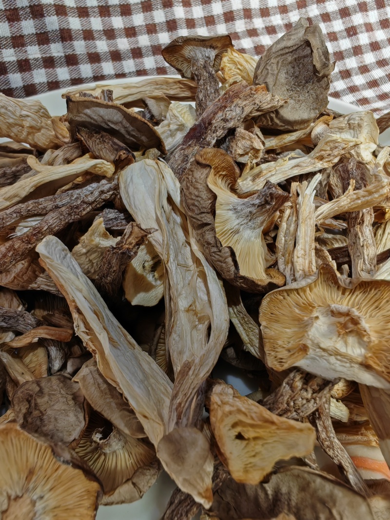 鹿茸菇大片碎菇电商货质量好价格低干净无土无沙无硫熏