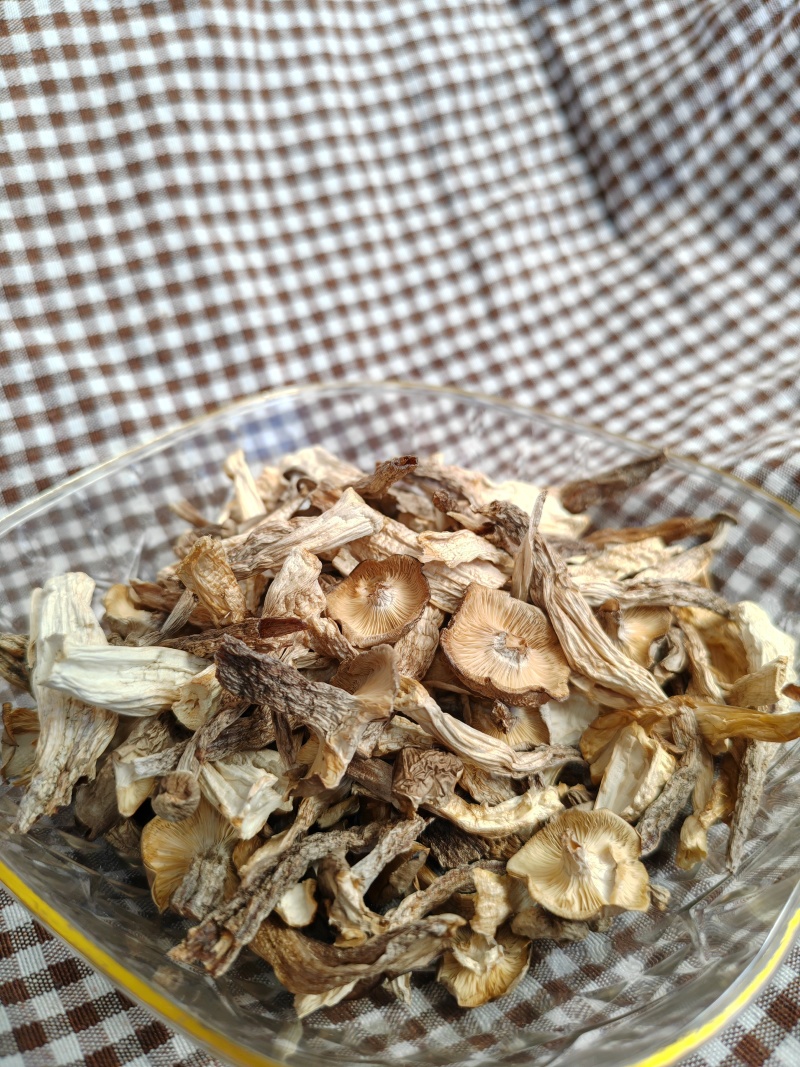 鹿茸菇大片碎菇电商货质量好价格低干净无土无沙无硫熏