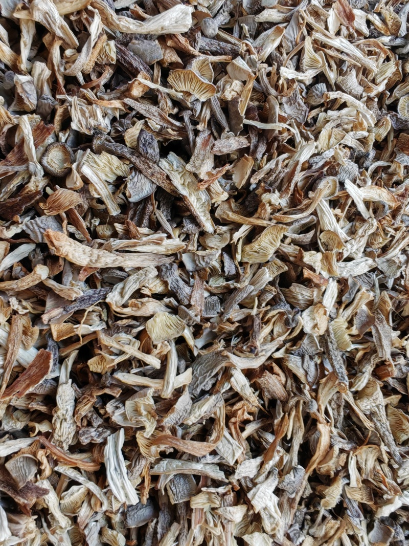 鹿茸菇大片碎菇电商货质量好价格低干净无土无沙无硫熏