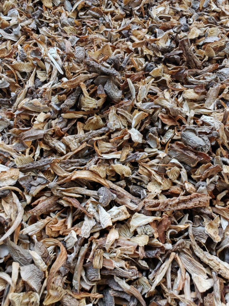 鹿茸菇大片碎菇电商货质量好价格低干净无土无沙无硫熏