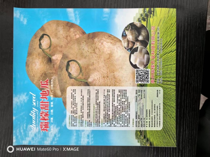 瑞檬甜瓜种子厂家直销，规格齐全，价格优惠，质量有保障