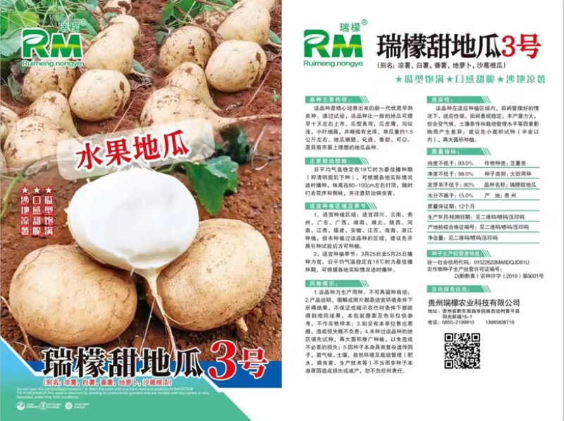 瑞檬甜瓜种子厂家直销，规格齐全，价格优惠，质量有保障