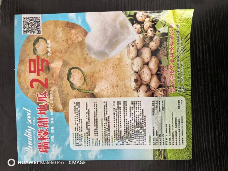 瑞檬甜瓜种子厂家直销，规格齐全，价格优惠，质量有保障