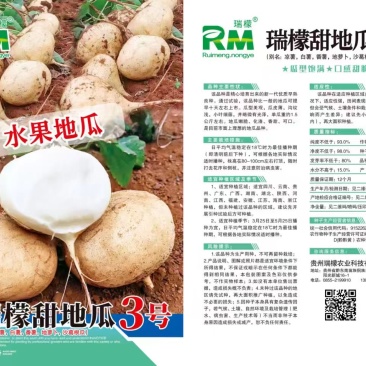 瑞檬甜瓜种子厂家直销，规格齐全，价格优惠，质量有保障