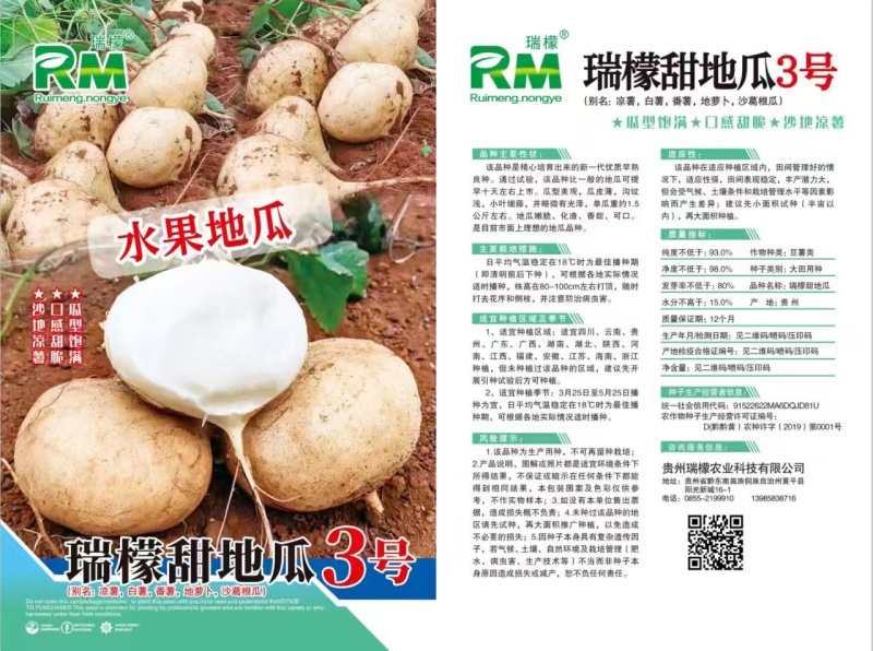 瑞檬甜瓜种子厂家直销，规格齐全，价格优惠，质量有保障