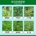 侨昌星锄20%草铵膦正品除草剂果园荒地杂草小飞蓬牛筋草