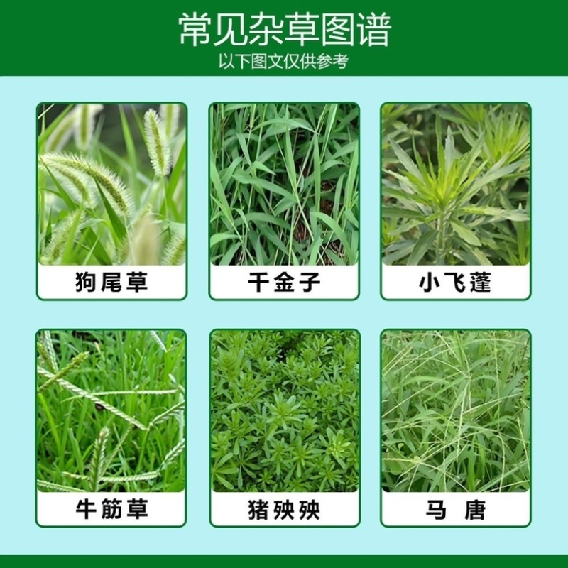 侨昌星锄20%草铵膦正品除草剂果园荒地杂草小飞蓬牛筋草
