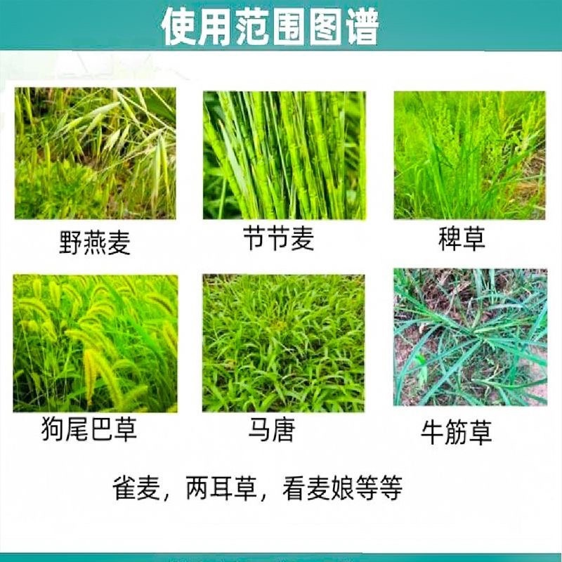 玉米除草剂丰乐虎啸46%硝磺草酮异丙草胺莠去津苗后农用药