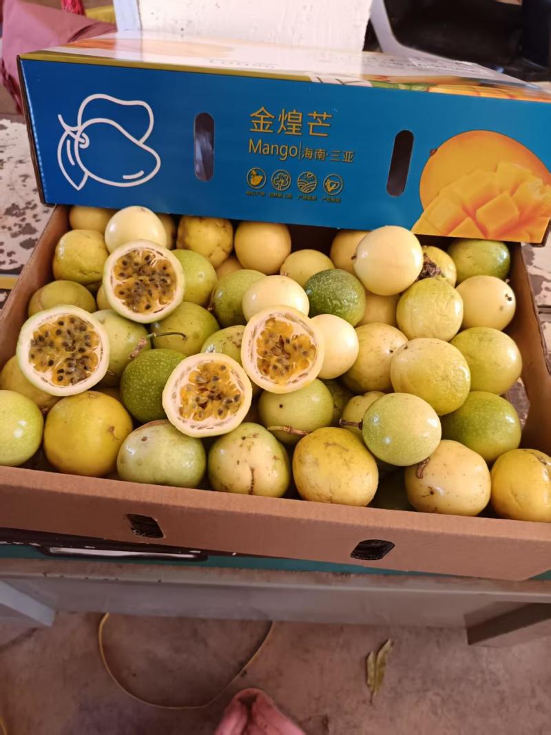 海南三亚海棠湾钦蜜九号百香果
