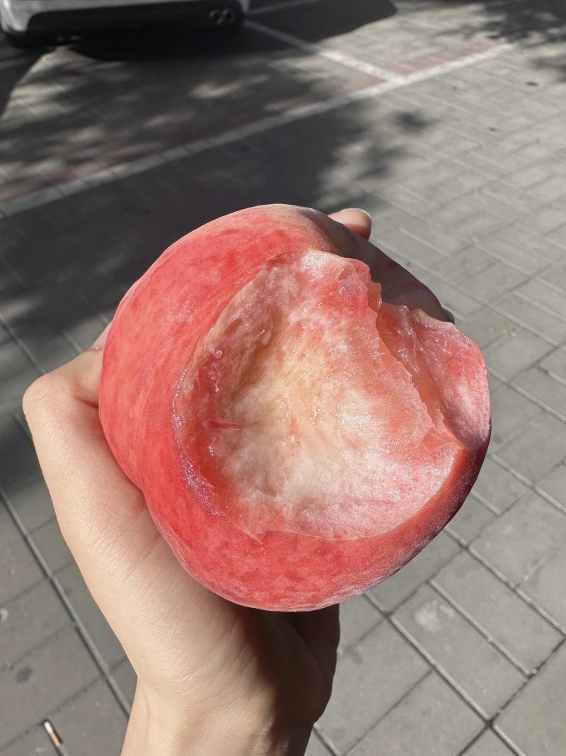 【突围桃】河北毛桃/衡水突围桃/中油油桃/规格齐全价格好