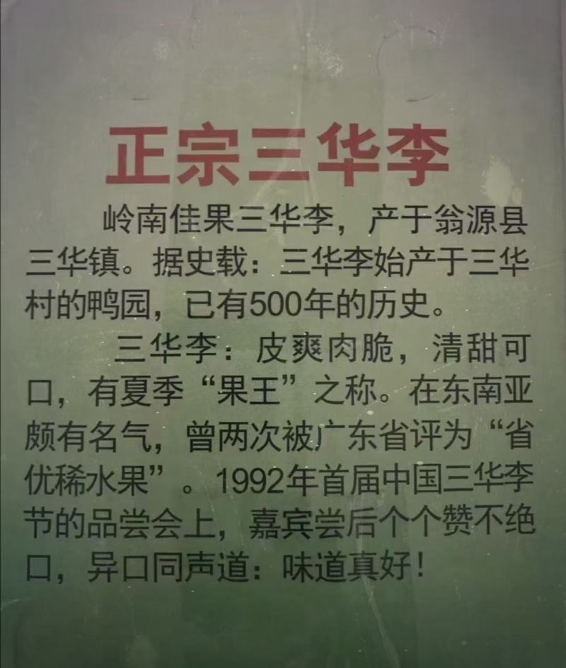 翁源三华李广东省内包邮