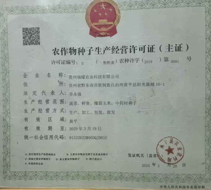 瑞檬8号辣椒种子厂家直销价格优惠质量保证规格齐全