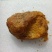 【精品】中药材鸡宝自家鸡子产出保质保量欢迎懂行老板