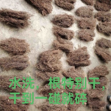 纯野生威灵仙