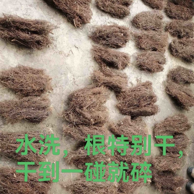 纯野生威灵仙