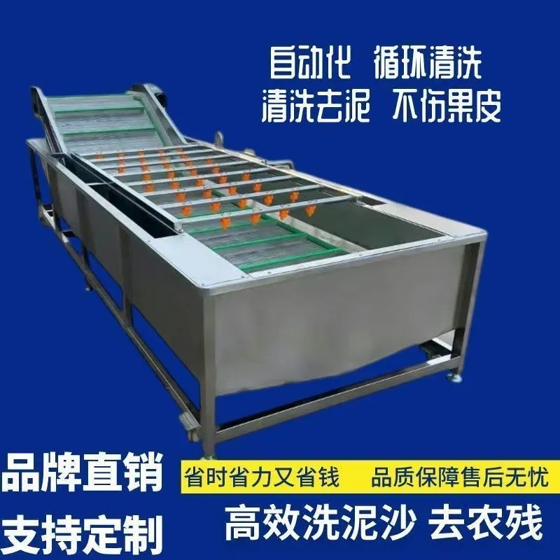 气泡清洗机水果蔬菜中药材柑橘砂糖橘清洗流水线定制