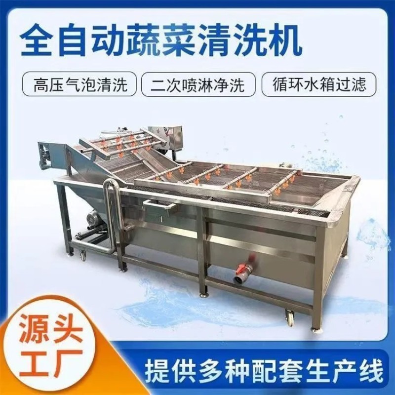气泡清洗机水果蔬菜中药材柑橘砂糖橘清洗流水线定制