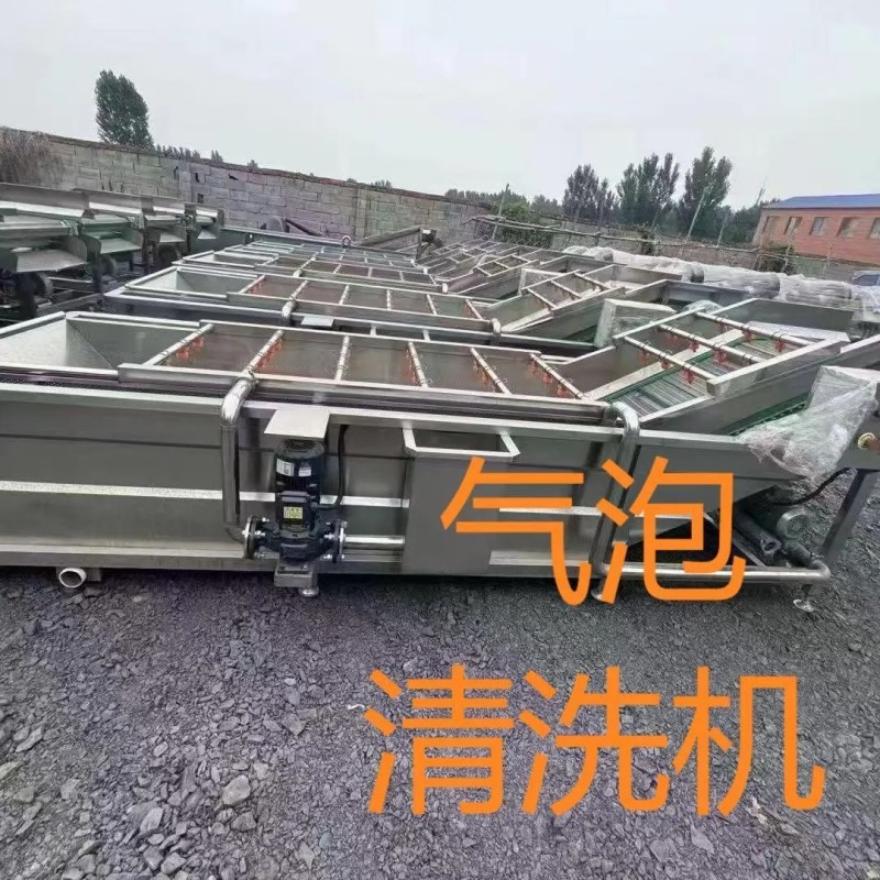 气泡清洗机水果蔬菜中药材柑橘砂糖橘清洗流水线定制