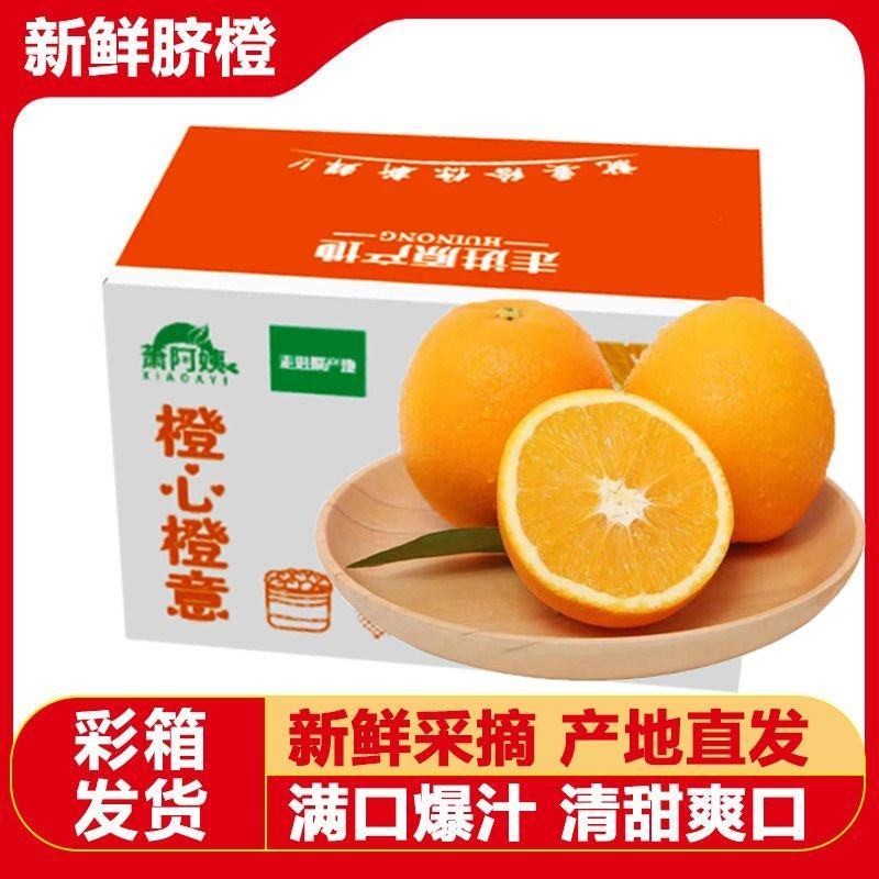 正宗脐橙批发价高山甜橙新鲜橙子薄皮纽荷尔包邮