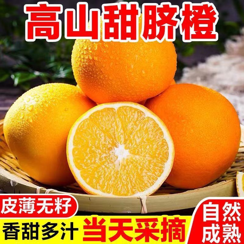 正宗脐橙批发价高山甜橙新鲜橙子薄皮纽荷尔包邮