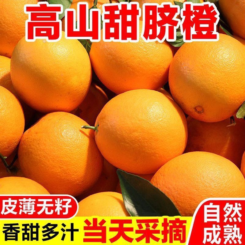 正宗脐橙批发价高山甜橙新鲜橙子薄皮纽荷尔包邮