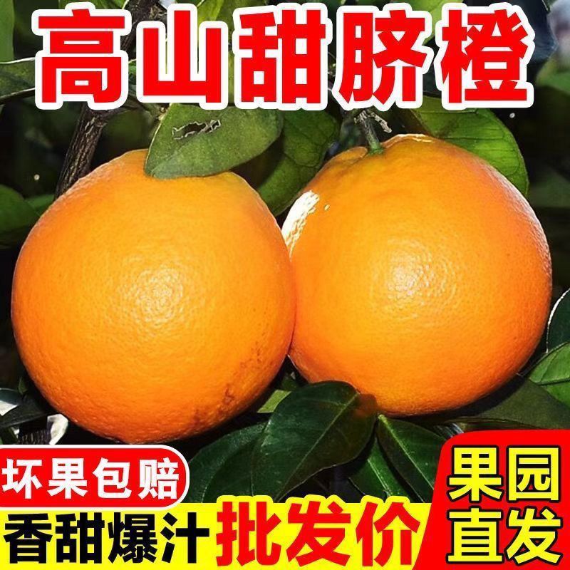 正宗脐橙批发价高山甜橙新鲜橙子薄皮纽荷尔包邮