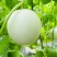 【爆甜玉菇】山东玉菇甜瓜冰淇淋当季蜜瓜现摘新鲜水果哈密瓜