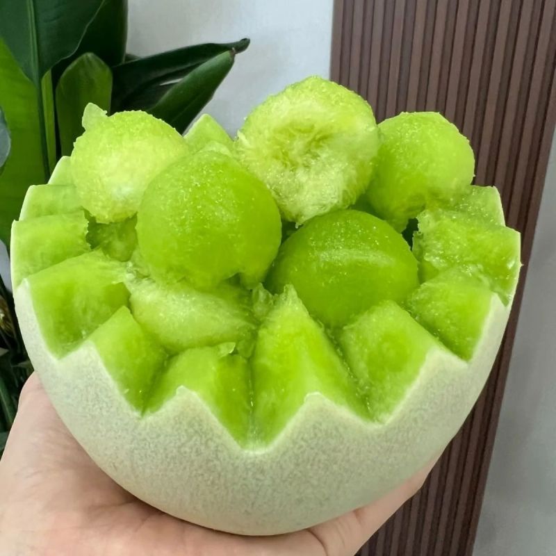 【爆甜玉菇】山东玉菇甜瓜冰淇淋当季蜜瓜现摘新鲜水果哈密瓜