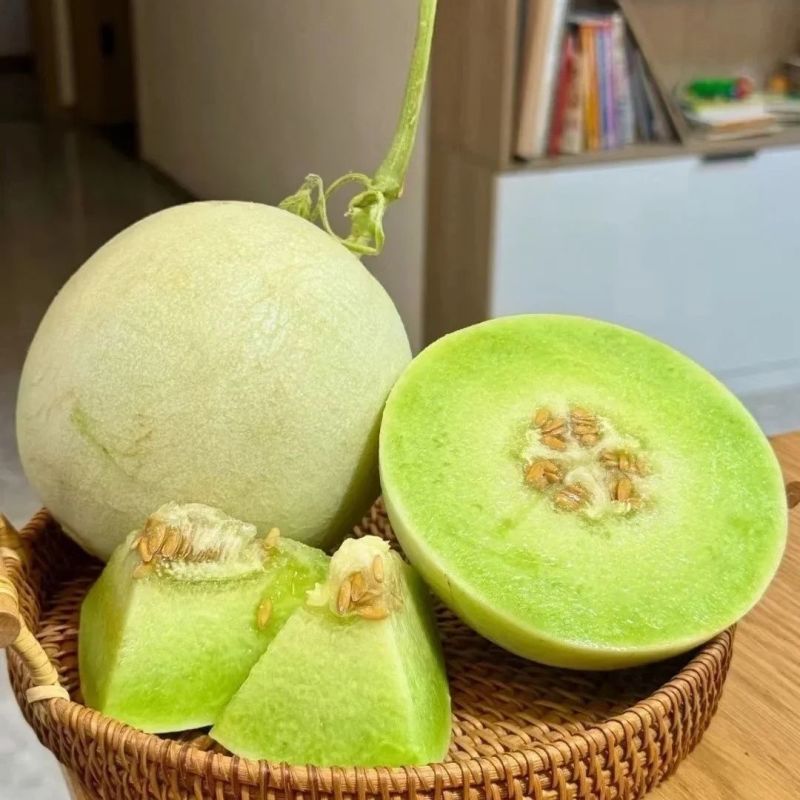 【爆甜玉菇】山东玉菇甜瓜冰淇淋当季蜜瓜现摘新鲜水果哈密瓜