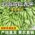 带箱9-10斤云南正宗高山香蕉当季自然新鲜水果青皮现摘批