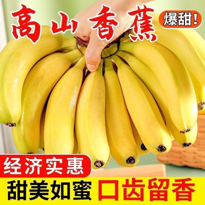 带箱9-10斤云南正宗高山香蕉当季自然新鲜水果青皮现摘批