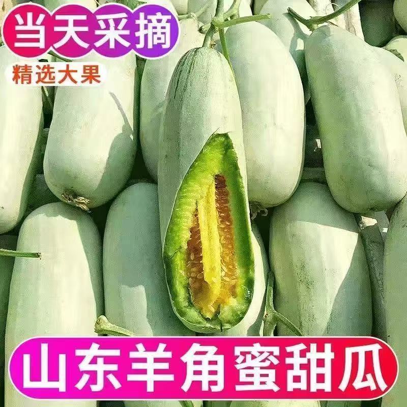 【5斤】头茬羊角蜜甜瓜山东新鲜当季孕妇水果蜜瓜整箱脆甜羊
