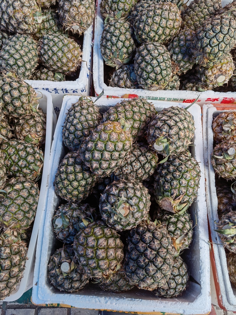 【推荐】广东凤梨精品菠萝产地直供保质保量量大优惠
