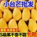【精选】云南小台农芒果小台芒当季新鲜水果台农芒果薄皮整箱