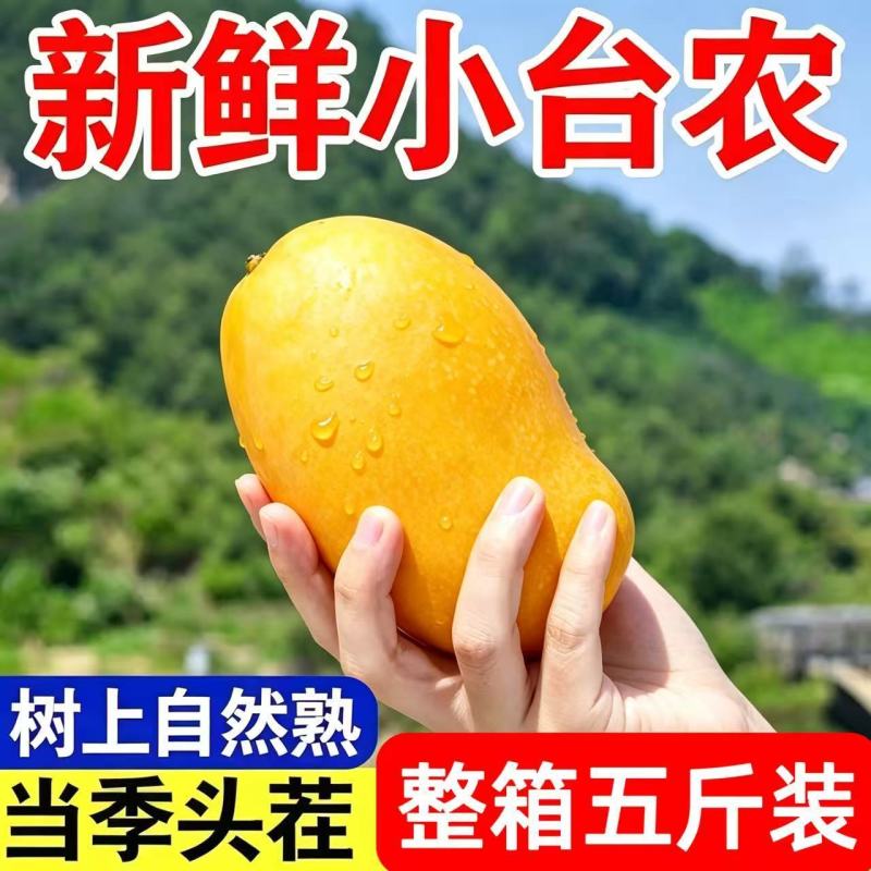 【精选】云南小台农芒果小台芒当季新鲜水果台农芒果薄皮整箱