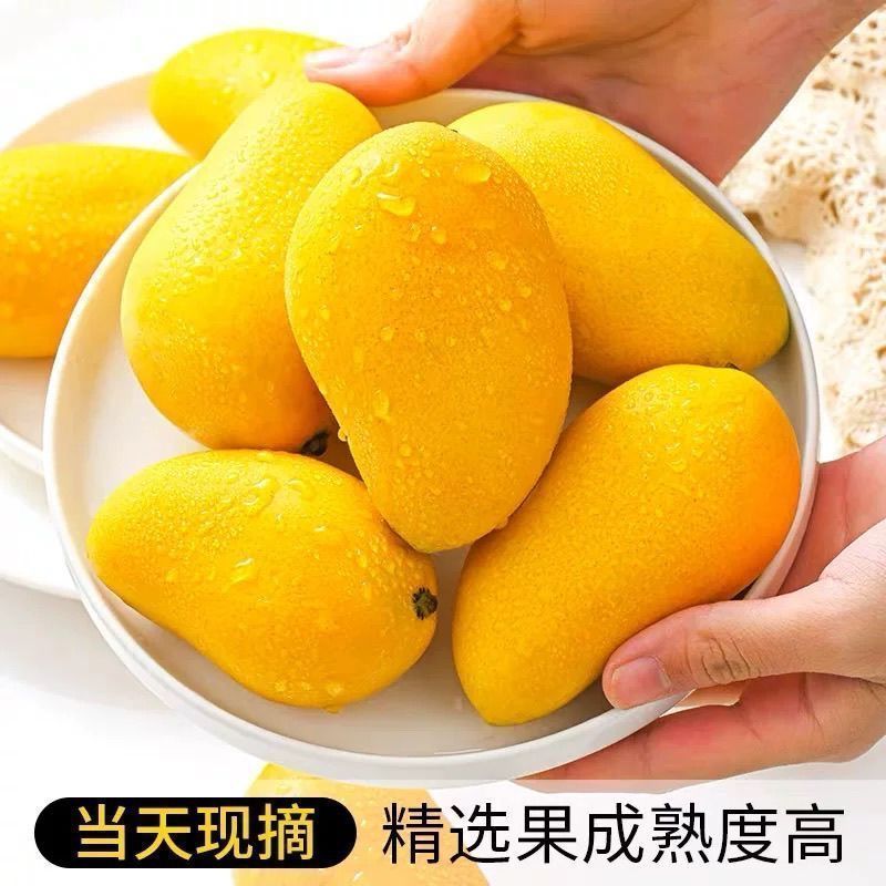 【精选】云南小台农芒果小台芒当季新鲜水果台农芒果薄皮整箱