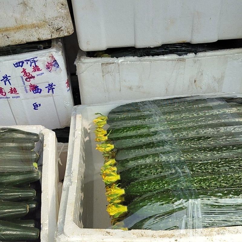 黄瓜