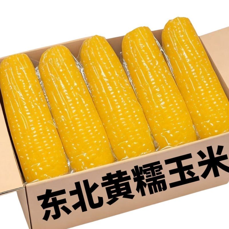 新店冲量】东北黄糯玉米粗粮大棒新鲜苞米香甜真空包装非转基