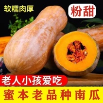 9斤蜜本老南瓜甜糯老南瓜云南老品种蜜本南瓜宝宝辅食蔬菜批