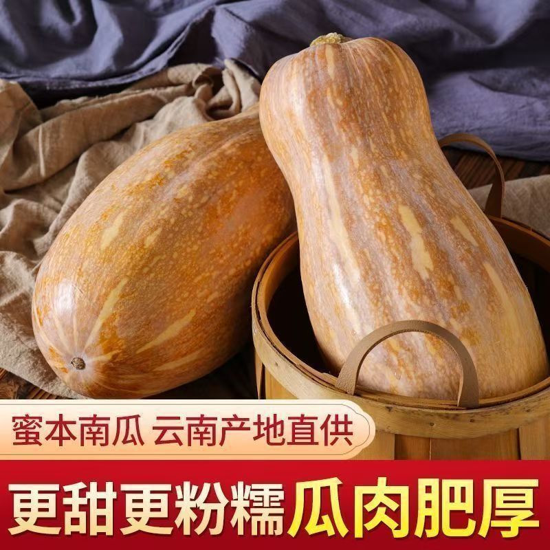 9斤蜜本老南瓜甜糯老南瓜云南老品种蜜本南瓜宝宝辅食蔬菜批