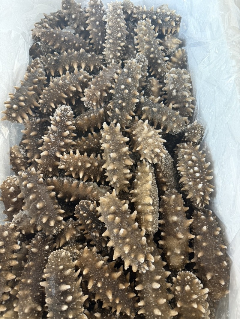 爆刺鲜食即食辽参，口感到顶电商酒店实体供应链欢迎合作洽谈