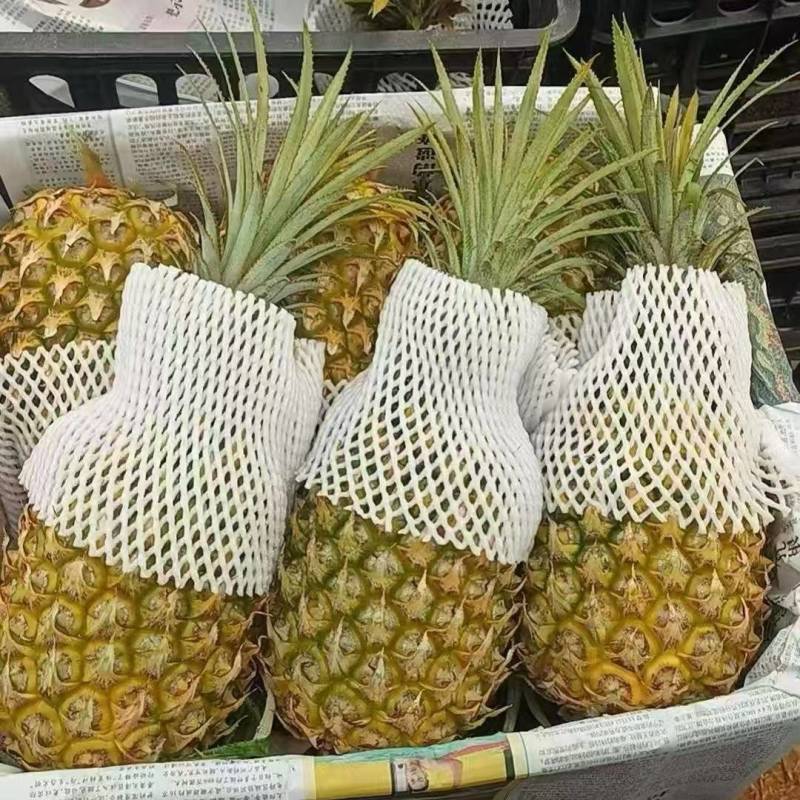 菠萝，徐闻菠萝，海南菠萝，香水菠萝，品质至优